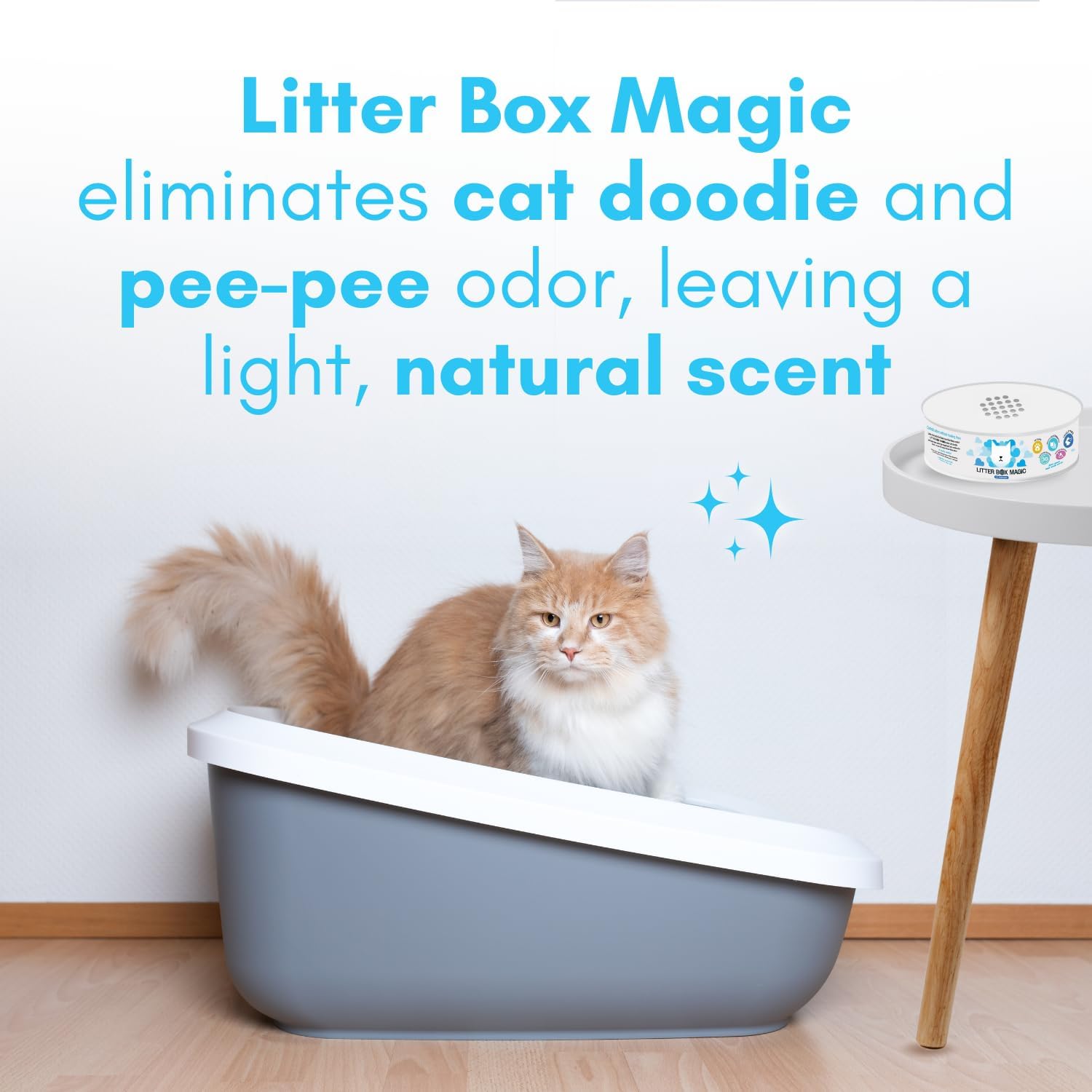 Cat Litter Deodorizer Jar - Fr - Gel Air Freshener ulasan dan harga