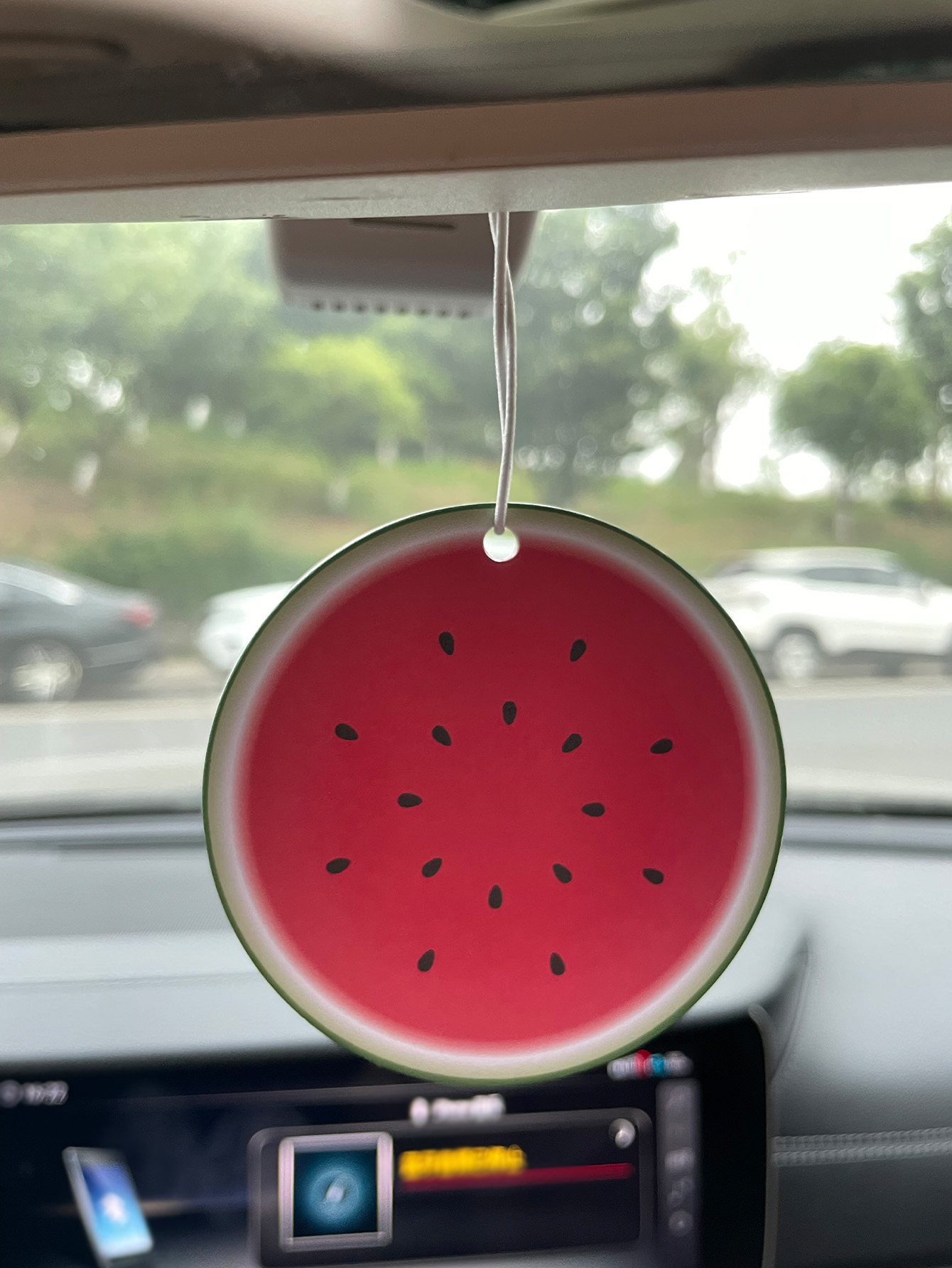 Watermelon/Freesia Fresh Scent - Home Fragrance Types ulasan dan harga