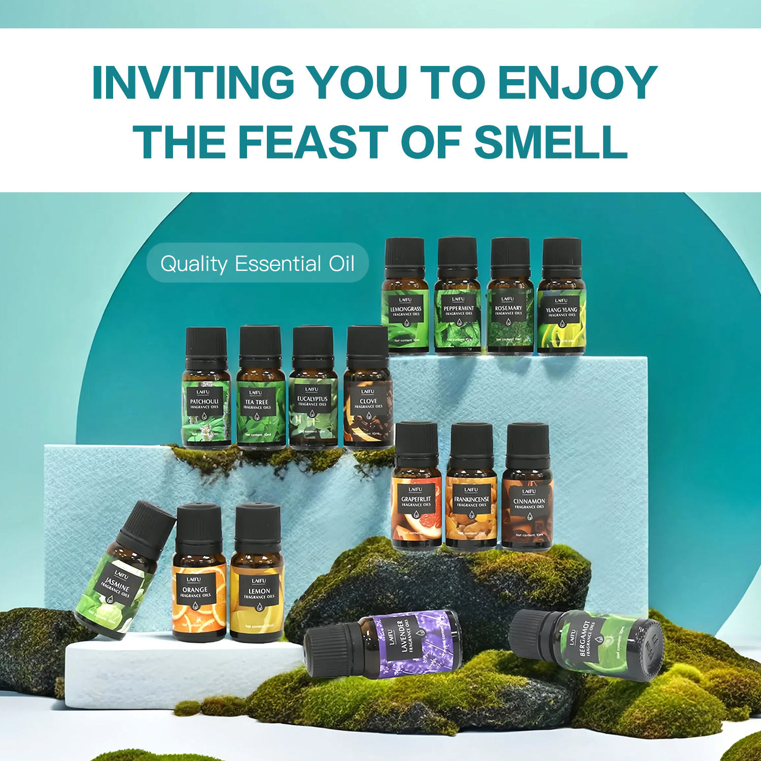 16x10ml Essential Oils Set for - Home Fragrance Set Gift ulasan dan harga
